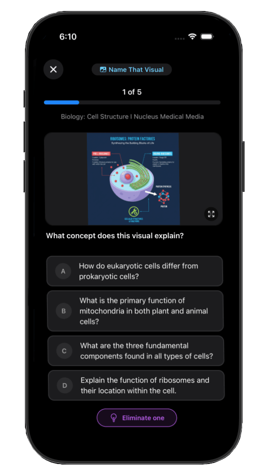 Name That Visual quiz with infographic